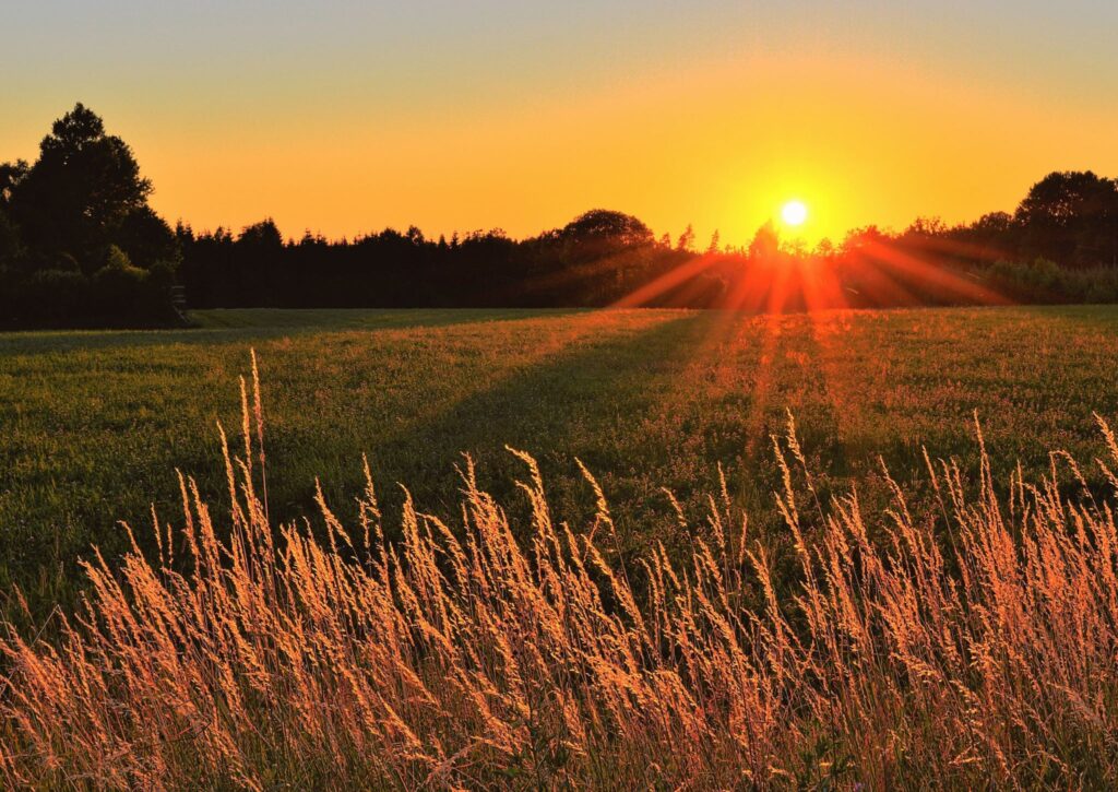 seo karlskoga