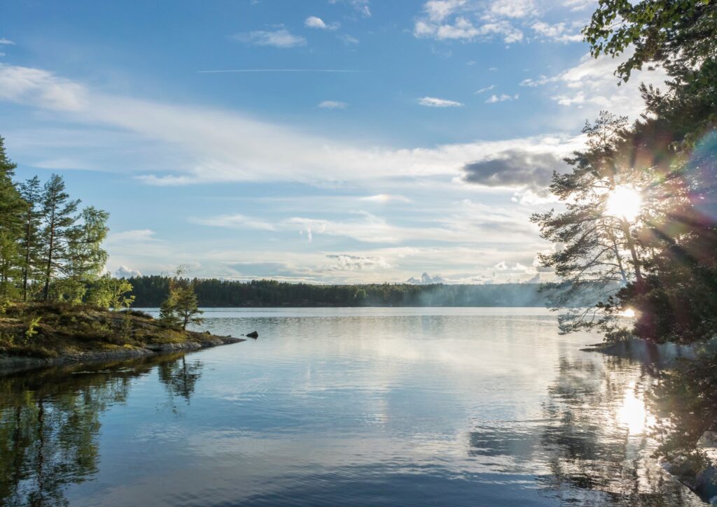 SEO Skövde